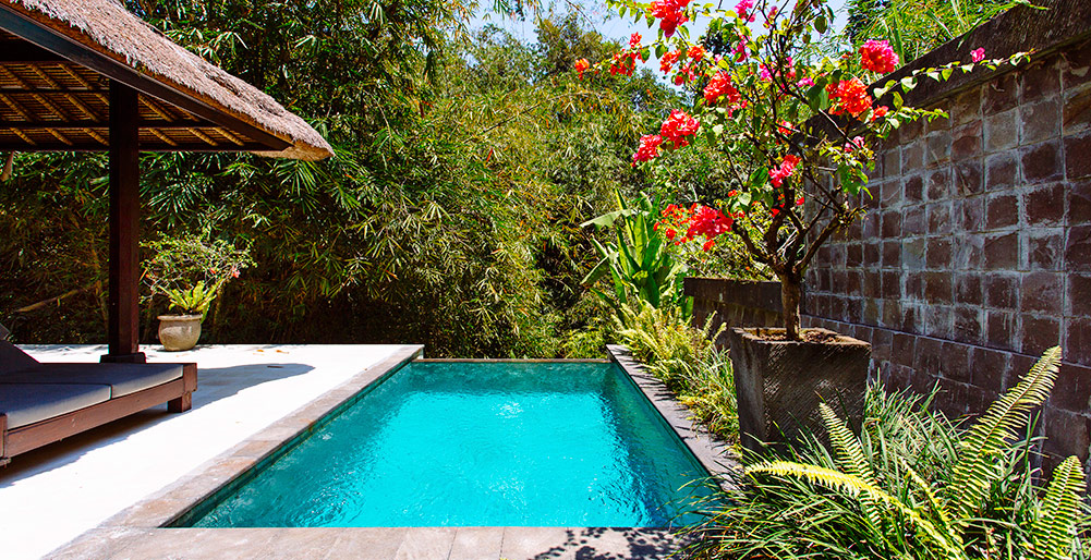 Villa Maya Retreat - Master suite pool